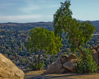 mt rubidoux-0843