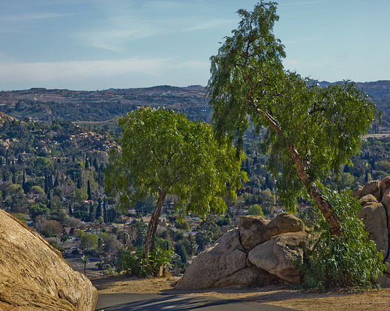 mt rubidoux-0843