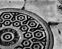 Melodyfrees-