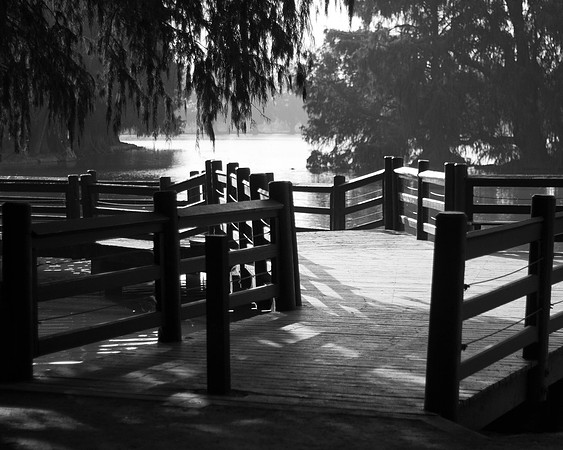 Melodyfrees-7303