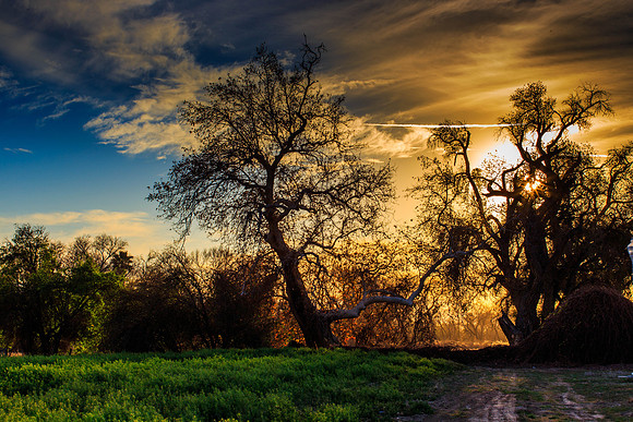 Sunset-7971