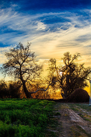 Sunset-7994
