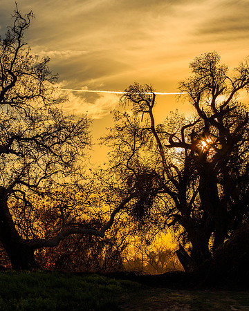 Sunset-7975