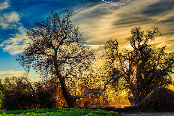 Sunset-8004