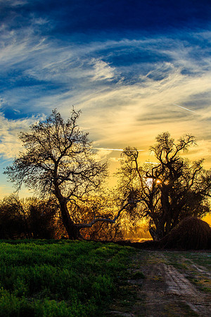 Sunset-7997