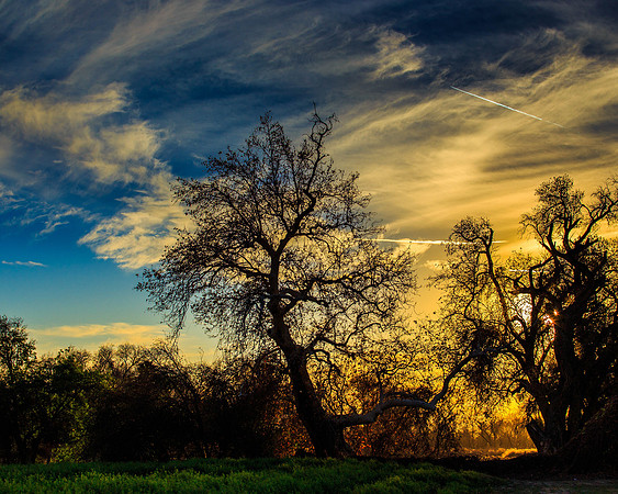 Sunset-7998