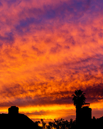 sunrise-8310