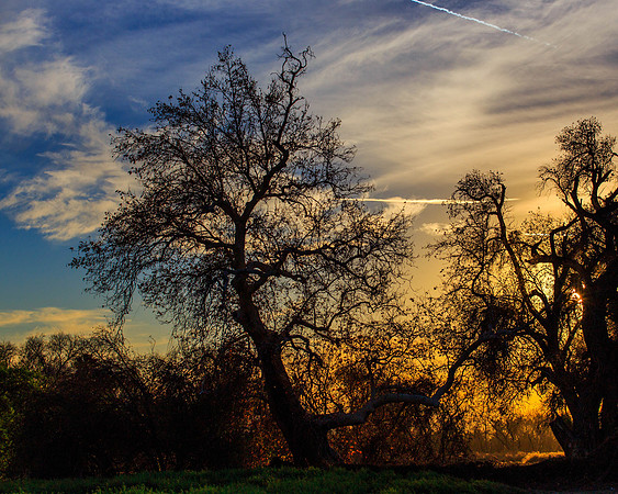 Sunset-8003